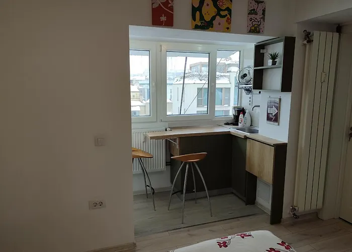 Apartment Cochet Piata Victoriei