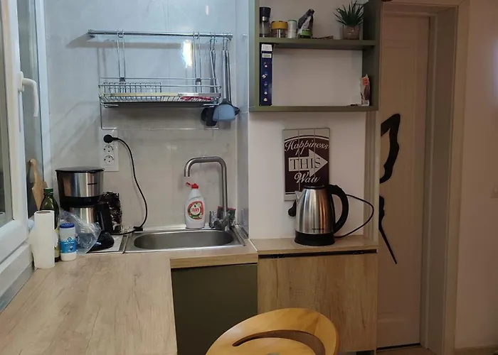 Cochet Piata Victoriei Apartment