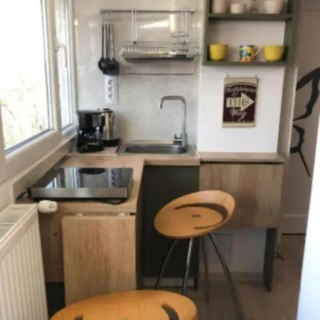 Cochet Piata Victoriei Apartament *