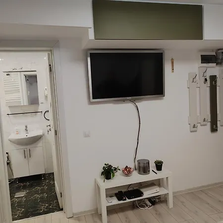 Cochet Piata Victoriei Apartament *