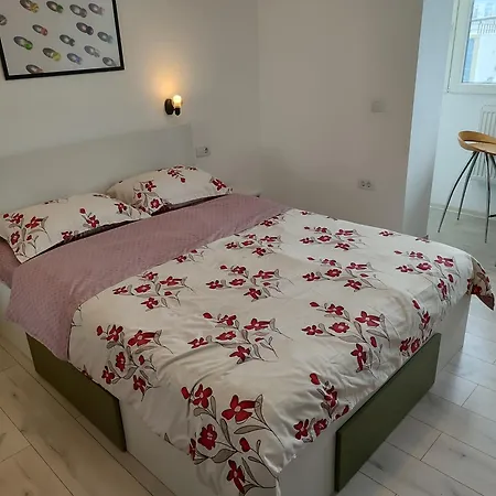 Apartment Cochet Piata Victoriei *