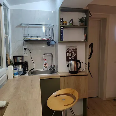 Cochet Piata Victoriei Apartment