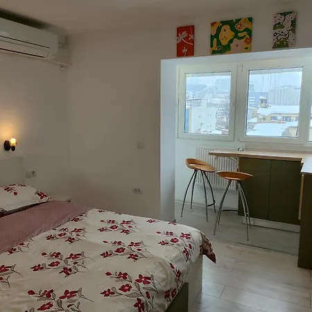 Cochet Piata Victoriei Apartament