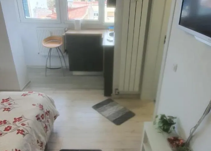 Apartament Cochet Piata Victoriei