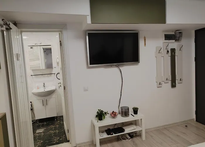 Cochet Piata Victoriei Apartament *